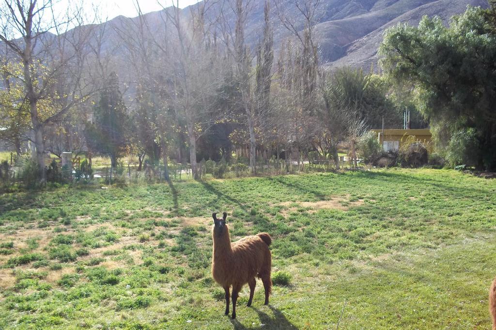 Posada Inti Tanpu Tilcara Exterior foto